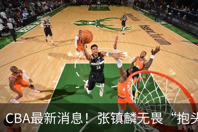 CBA最新消息！张镇麟无畏“抱头哥”称谓，辽宁助教加盟浙江，广厦续约布朗